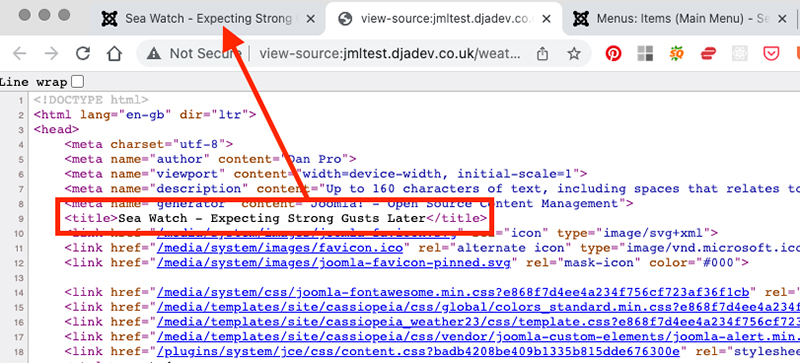 Joomla SEO Friendly URLs Screen DJA Article02