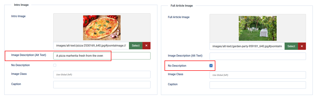 A screenshot showing the image selection tab in edit forms