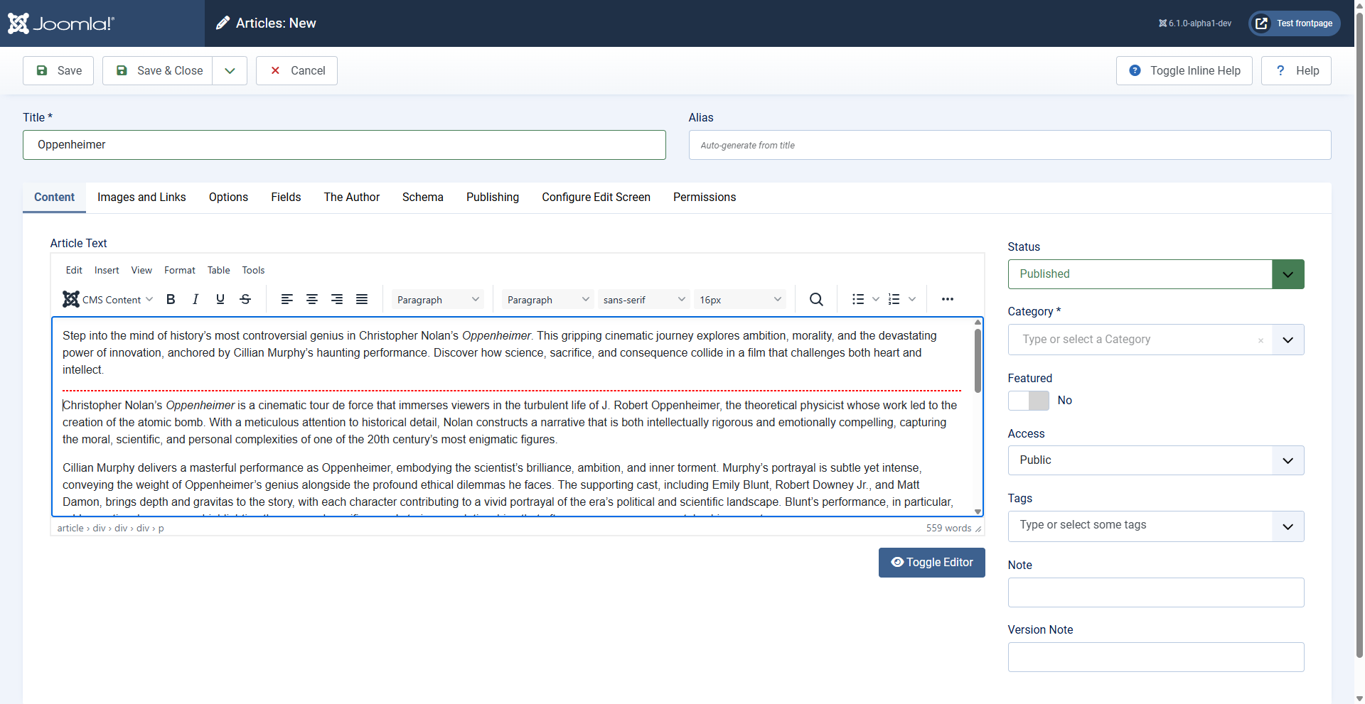 Article editor showing text above and below the Read More break