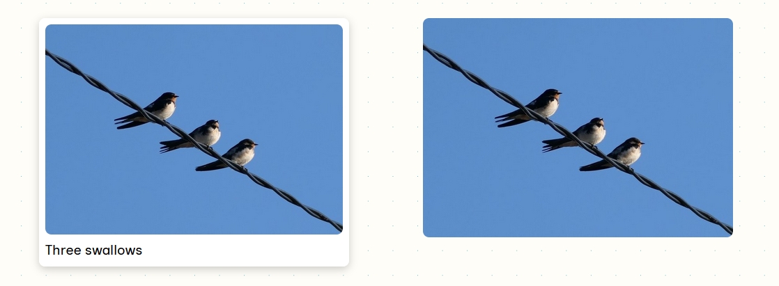 Two images of three swallows on a wire, the first one with caption, the second one without