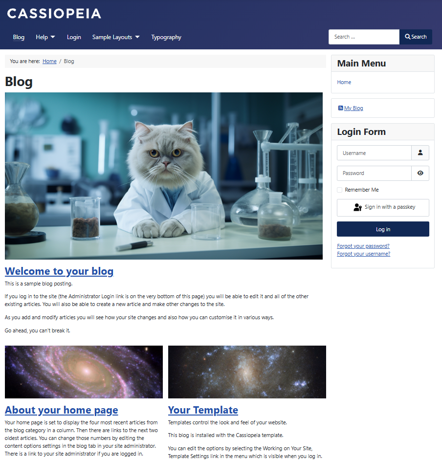 final blog category results