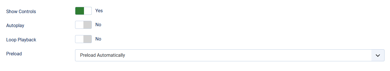 Additional options for the audio field
