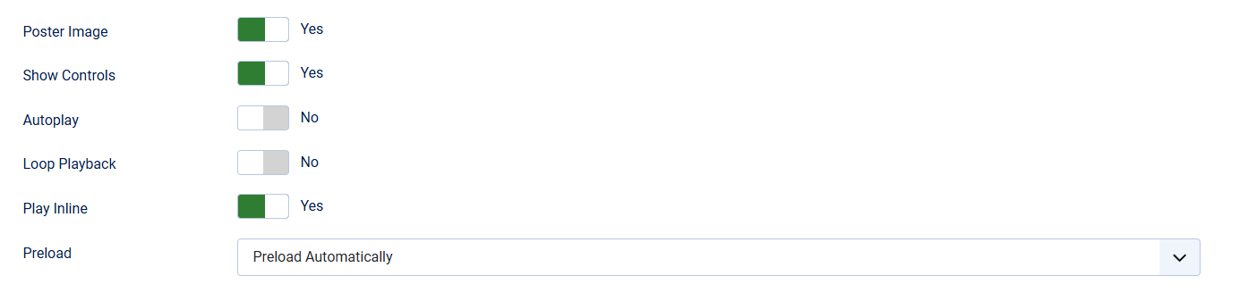 Additional options for the video field