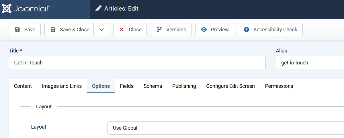 Screenshot of the Options tab in articles