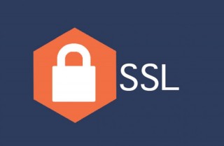 ¿Necesito un certificado SSL en mi sitio web? ¿Y como?
